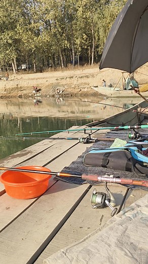 31/10/2025 #fish #shad#video #viral♥️ pahla shikar today ka | Fishing khan