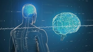 Animation of data processing and diagrams over digital human and brain | Premium Stock Video Footage