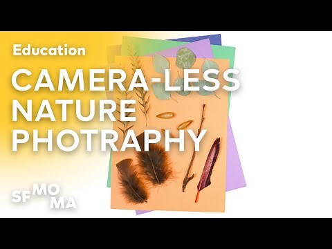 Camera-less Nature Photography: An Art Project Inspired by Imogen Cunningham