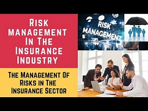 The Management of Risks in the Insurance Sector. Risk and Risk Management in the Insurance Industry
