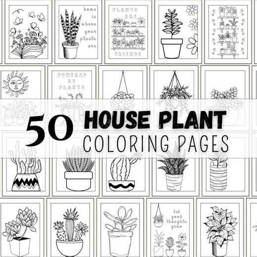 Plant Coloring Pages, Printable Sheets PDF, Houseplant Nature Study Activity, Preschool, Elementary School, Homeschool, Digital Art for Kids - Etsy