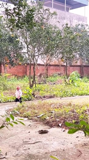 Bibi enlisted exercise and asked Mom to prepare breakfast | Bibi Jumps