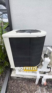 Don't Let These Pool Parts FREEZE 🥶 | Swim University