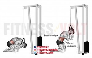 Kneeling Cable Crunch Guide: Muscles Worked, Tips, and Alternatives