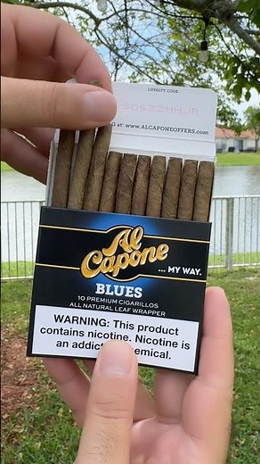 Al Capone Blues Cigarillo ASMR #alcapone #cigarillo #cigarlife #cigarlovers #cigartime