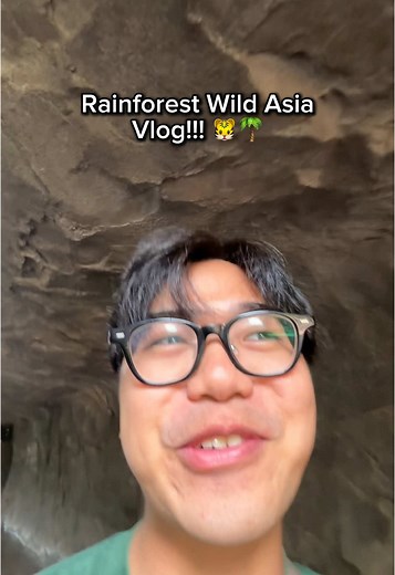 Thrilling Canopy Jump Experience at Wildlife Park