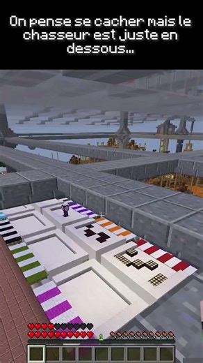 La Course-Poursuite (Cache-Cache 3) #minecraft #hideandseekgame