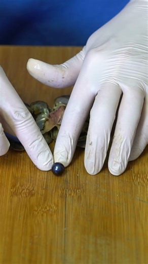 Wait Until You See This Midnight Blue Pearl 😱🦪