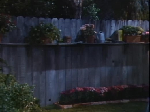 History by me on Reels