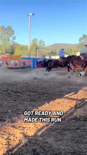 Exciting Rodeo Vlogs Featuring Barrel Racing Highlights