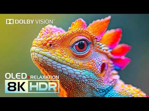 Amazing OLED HDR TEST 16K Video | Dolby Vision 8K HDR 240fps (8K/4K Video TV)
