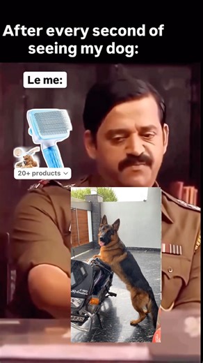 When I See My German Shepherd… Mood Instantly Better 😎 #dogshorts #germanshepherd #pets #viraldogs