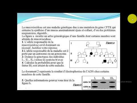 Exercice 1 la génétique humaine