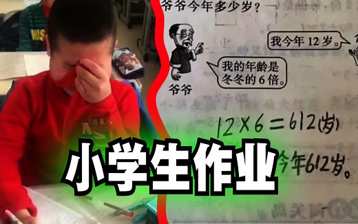 爆笑解说：盘点一些满级小学生的作业！