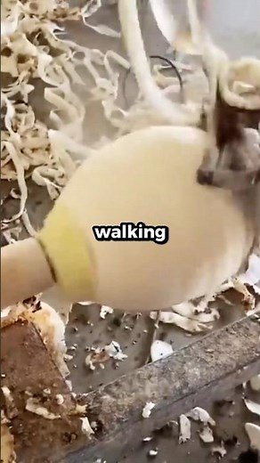 Best random conversation you’ve ever overheard?!