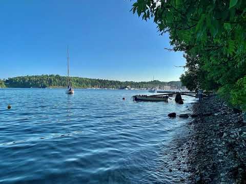 Sounds of summer in Norway… #asmr #relaxing #viral #explore #viralvideo