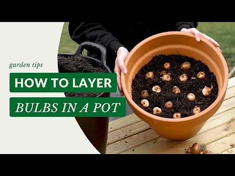 Bulb Lasagne Tutorial - How To Layer Bulbs In a Pot | Gardening Tips with J. Parker's