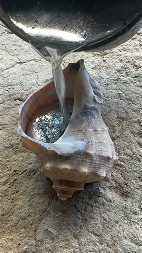 Liquid metal poured perfectly into a snail shell mold #satisfying #shorts