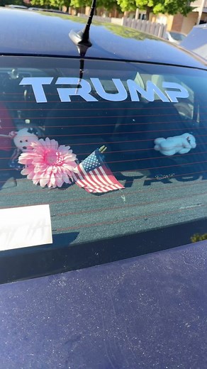 Custom Vinyl Car Stickers for Your Vehicle