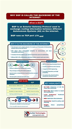 Why BGP is Called the Backbone of the Internet?