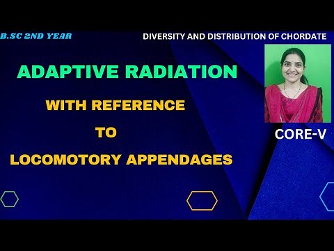 Adaptive Radiation With Reference To Locomotory Appendages B.Sc 2nd Year||#AdaptiveRadiation#mammals