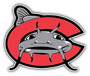 LA Mudcats Baseball | Metairie, LA 70003 | Youth Select & Showcase Travel Sports Teams