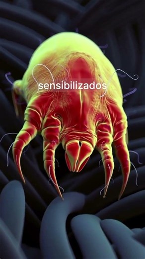 Imunoterapia ajuda no tratamento da dermatite atópica? 🤔💙