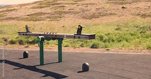 The seesaw, or teeter-totter, moves slowly up and down on the empty playground, nestled in the green surroundings, with the fresh air blowing gently, and no one in sight