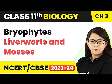 Bryophytes: Liverworts and Mosses - Plant Kingdom | Class 11 Biology Chapter 3 | NCERT/CBSE