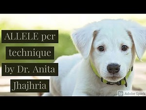 ALLELE SPECIFIC PCR TECHNIQUE