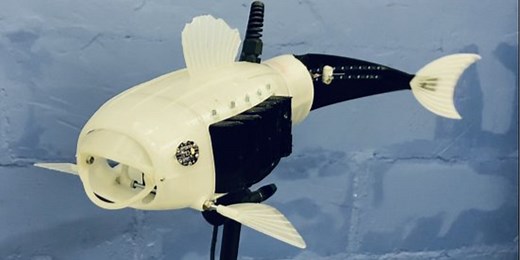 Meet Gilbert: The robotic fish designed to help clean plastic from our waterways