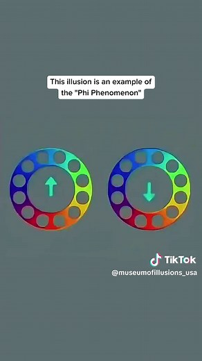 Exploring the Museum of Illusions