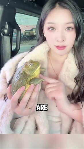 5 reptiles that are perfect for beginners #youtubeshorts #pets #reptiles #animals #facts