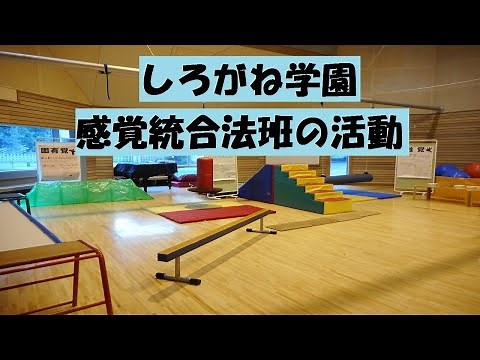 のぞいてみよう！しろがね学園の療育の取り組み～感覚統合法班の活動～