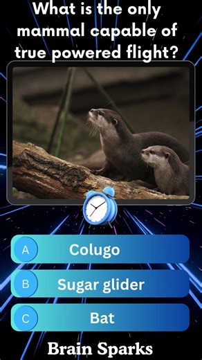 Part 130 Test your general knowledge #quiz #quotes #shorts #animals