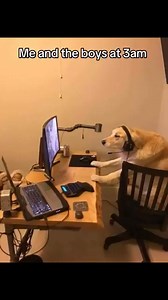 3am conversation with the bros 😅 | Nfam Beats