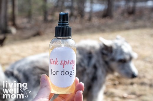 The Simple All-Natural Tick Repellent for Dogs {with Video!}