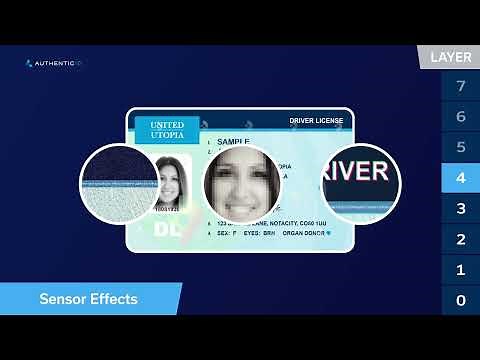 ID Verification Techniques for Tamper and Fraud Detection