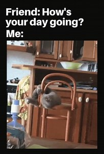 Humor Is Infectious on Reels