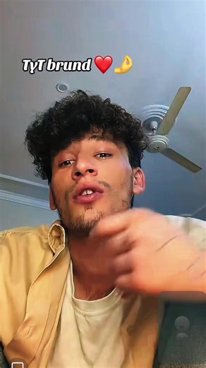 تیت پنجشیر: برند محلی با عشق و هنر