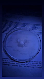 #chemistrymemes #laboratory #artscience #lablife #ochem | Chemistry-الكيمياء