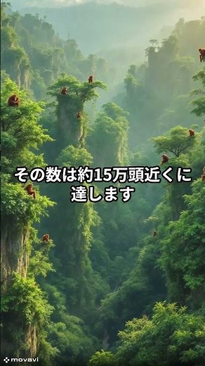 【実は知らない】『動物雑学』「オランウータン」