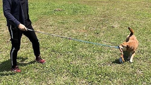 07846242f4864a8fa08f207b65a93a10