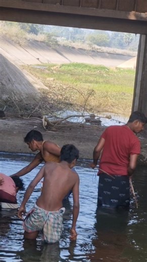 machli pakadne wala video || Kam time mai jada machi Kaise pakda jaye 🐬🐬🐬🐬