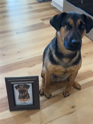 @One Eyed Wally 🖼