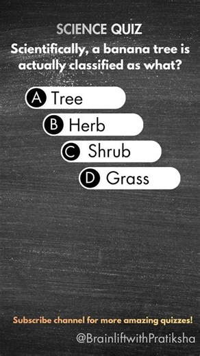 Banana trees are NOT trees 😳 #shorts #quiz
