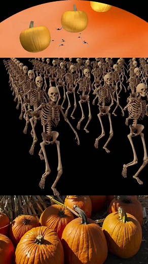 📣 Exciting news! 🎃🍂 ABC Tree Farms Pumpkin Patch is offering a Buy One Get One FREE ride ticket deal! 🎟️ That means double the fun for you and your loved ones! 🎉✨ Experience the thrill of our exciting rides while soaking in the festive atmosphere of our pumpkin patch. 🎡🌽 Don't miss out on this amazing offer! 😍 👉 How does it work? Simply purchase one ride ticket and get another one absolutely FREE! 🎁🎈 Bring your friends, family, or that special someone and enjoy! #ABCtreefarms