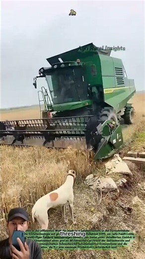 Modern Combine Harvester: How Grain Harvesting Works!