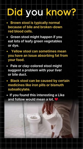 What Your Stool Color Reveals
