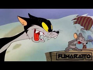 Fumaratto - Así no Mor (Official Guaracha Set)